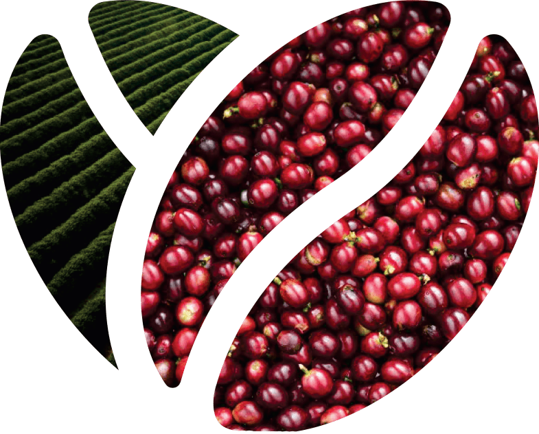 Valorizar as fazendas <br>e o café do cooperado <br>com segurança.